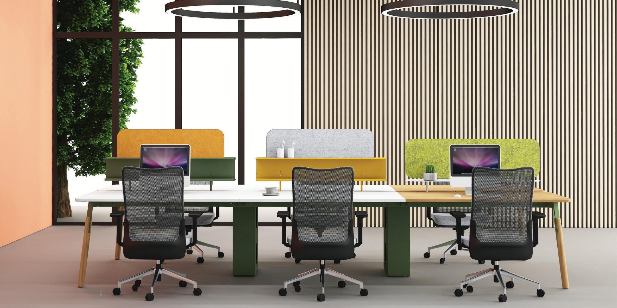 Doxa Office Decoration