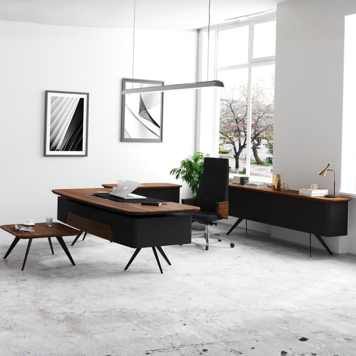 Doxa Office Decoration